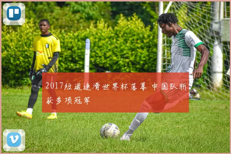 2017短道速滑世界杯落幕 中国队斩获多项冠军
