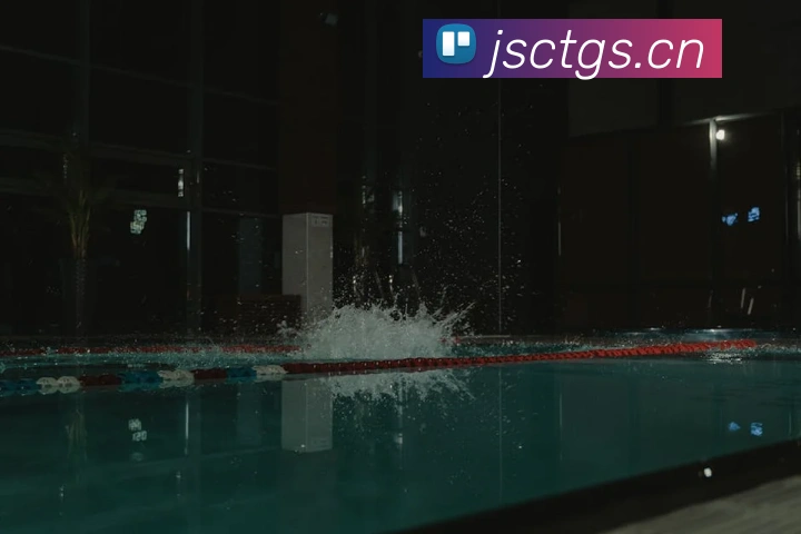 世界杯官网登录app平台生态图